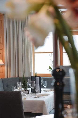 Hotel Acerina