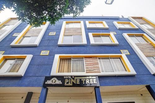 Townhouse Hotel Pine Tree