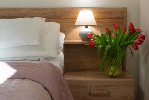 Hotel Tulipan