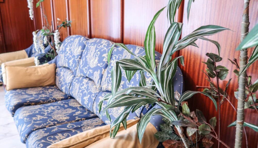 Hotel Pelayo Noja