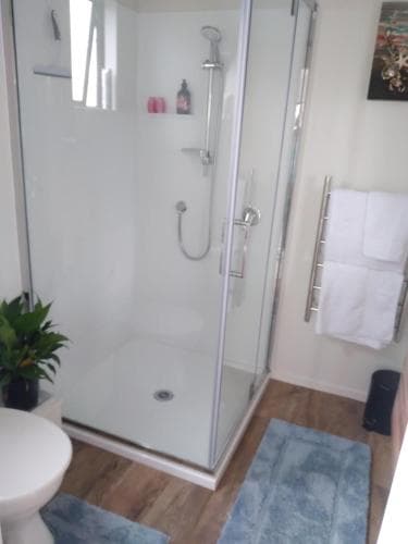 A cozy bathroom with a modern glass-enclosed shower, wooden flooring, neatly folded towels, and a fresh potted plant creates a serene atmosphere ideal for travelers seeking comfort and cleanliness.