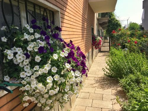 Bed & Breakfast La Falconera