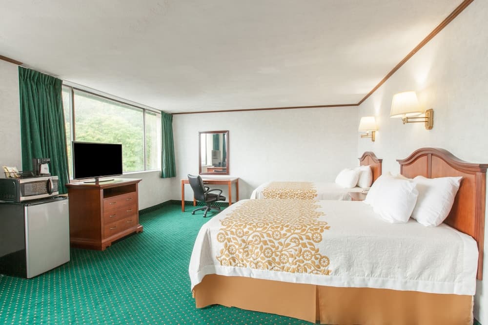 Schenectady Inn & Suites