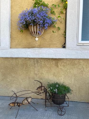 Browns Canyon Inn