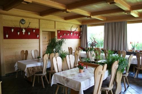 Karpfen am Illmensee