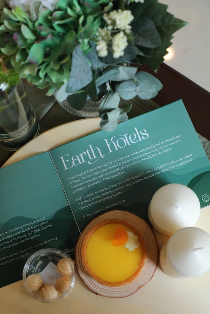 Earth Hotels