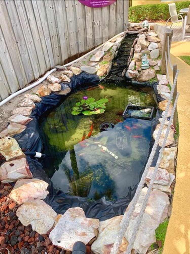 A serene backyard garden pond lined with rocks, featuring koi fish and water lilies, creates a tranquil atmosphere ideal for relaxation and photography.