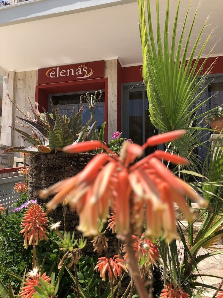 Hotel Elenas