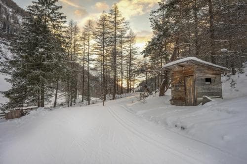 Hotel Berger