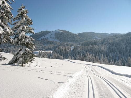 Alp Chalets
