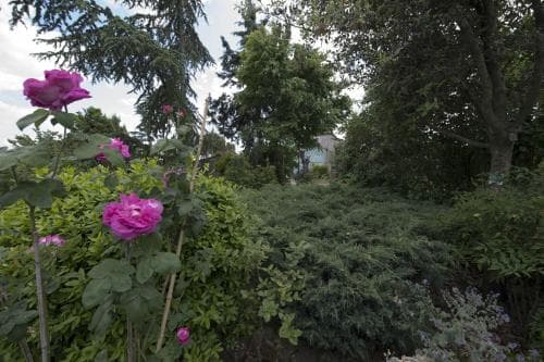 Casa Clivia