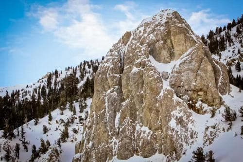 Mammoth Greens Condos