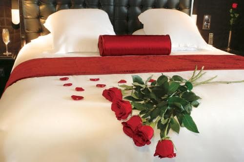 Oz Inn Hôtel