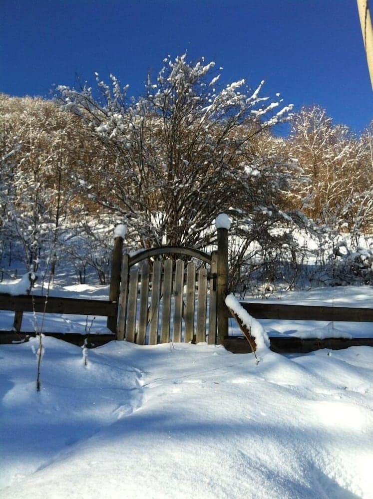 B&B Oltre Il Bosco