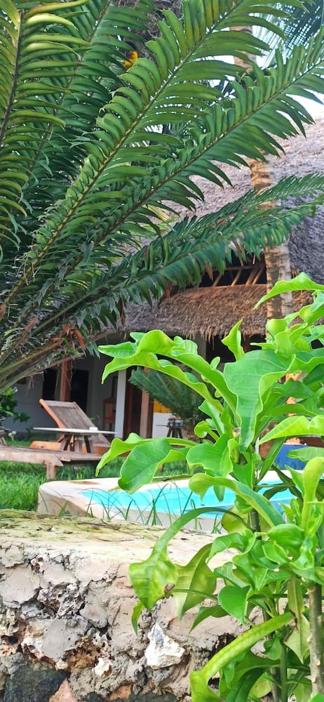 Art Hotel Zanzibar