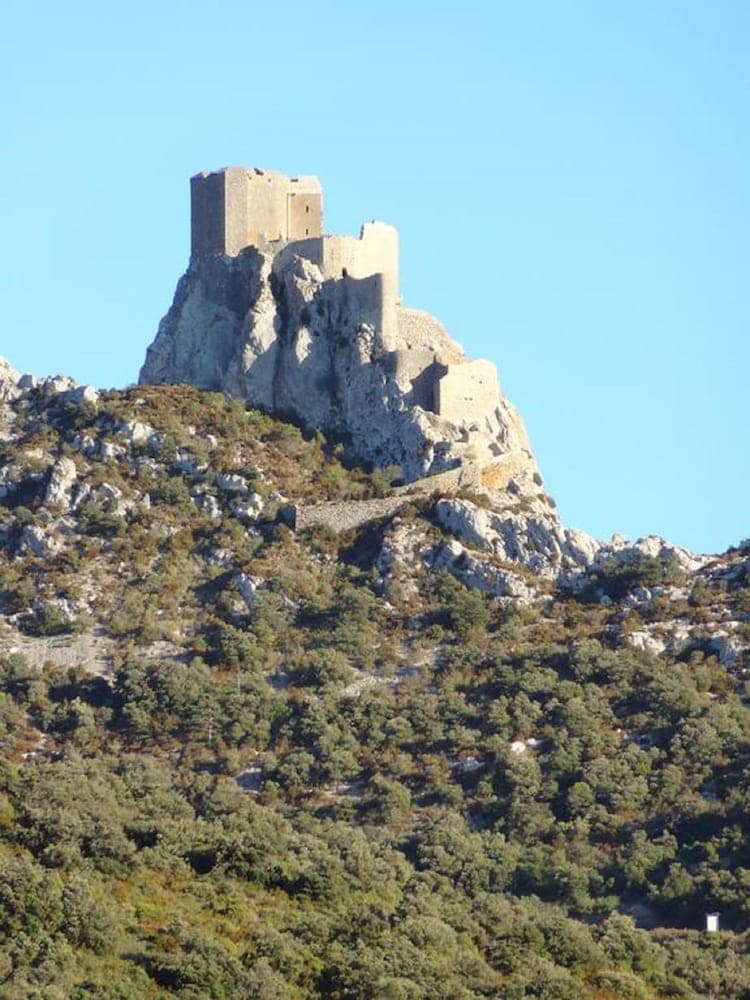 Les Santolines