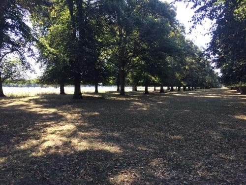 Old Station Gardens