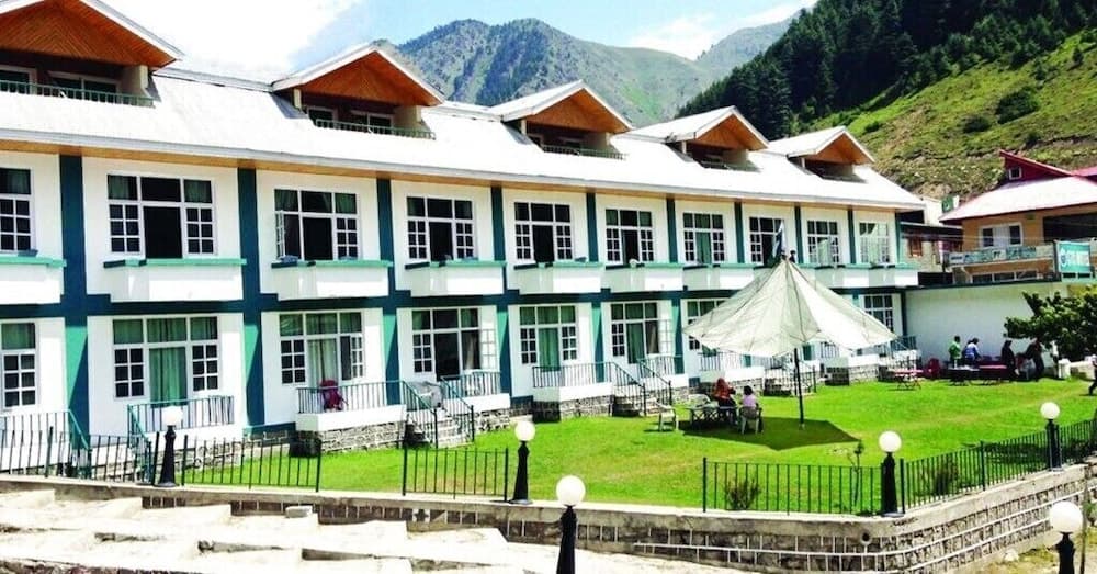 Pine Top Naran