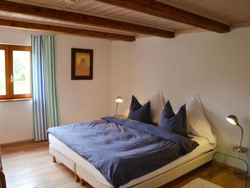 Chat au Grumbach