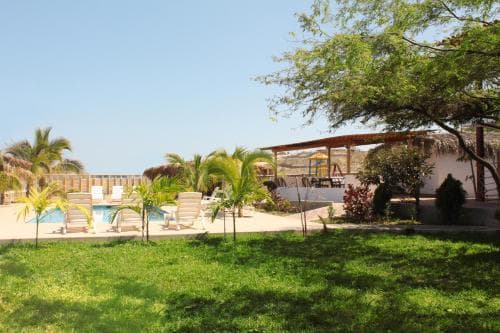 A serene tropical resort scene features a lush green lawn, palm trees, lounge chairs by a pool, and a shaded dining area, ideal for relaxing vacations in sunny destinations.