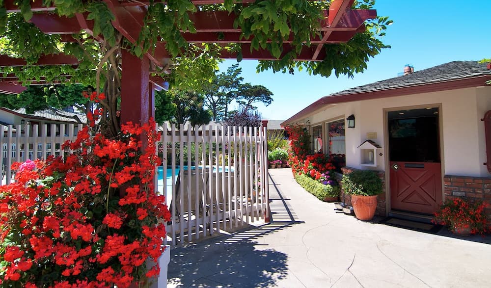 A vibrant pathway lined with lush red flowers and greenery leads to a charming white house with a red door, perfect for a serene vacation retreat.