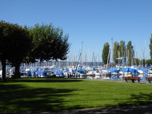 A serene lakeside marina with sailboats docked under clear blue skies, framed by lush green grass and trees, offers a peaceful spot for relaxation and leisurely strolls.