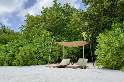 Coco Bodu Hithi
