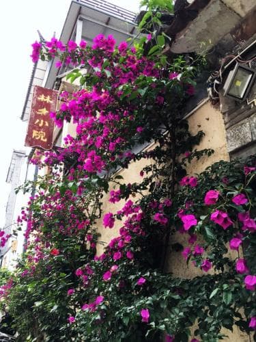 Linxi Hostel