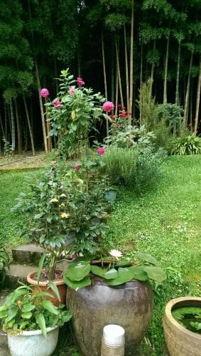 Cuiti B&B