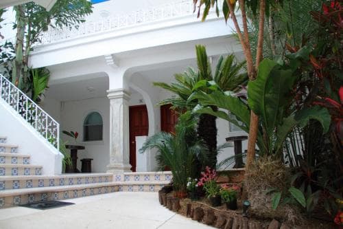 Tropical Casablanca