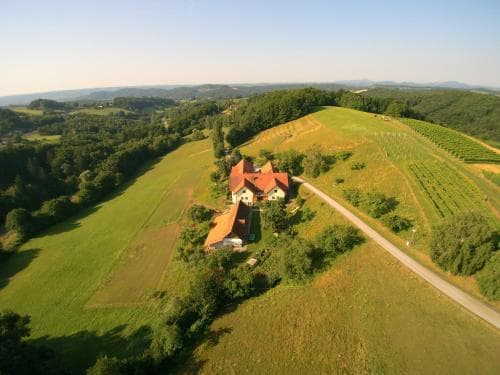 Birkenhof Pension
