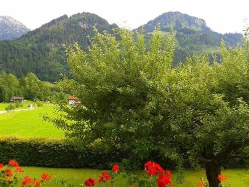 A serene countryside scene with lush greenery, vibrant red flowers, and distant mountains creates an idyllic setting for nature lovers seeking tranquility and scenic beauty.