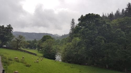 Bod Gwynedd B&B