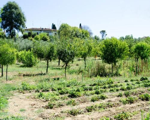 B&B Antonietta