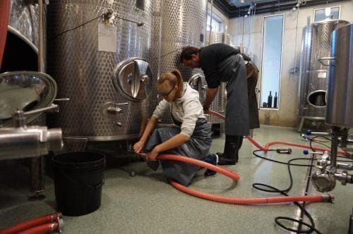 Weingut Perner