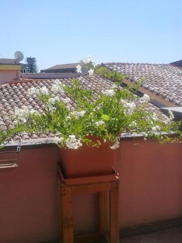 Casa Clessi's