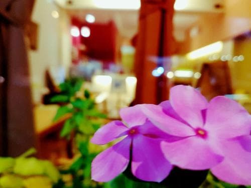 Go Latte B&B