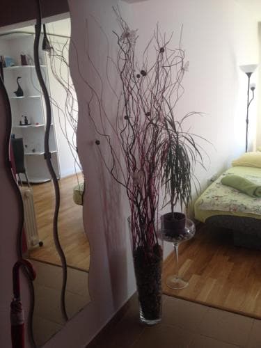 Apartment Glomazic