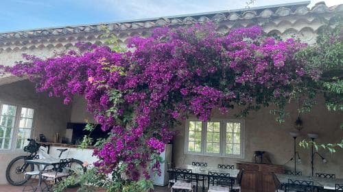 Residence Le Saint Victor