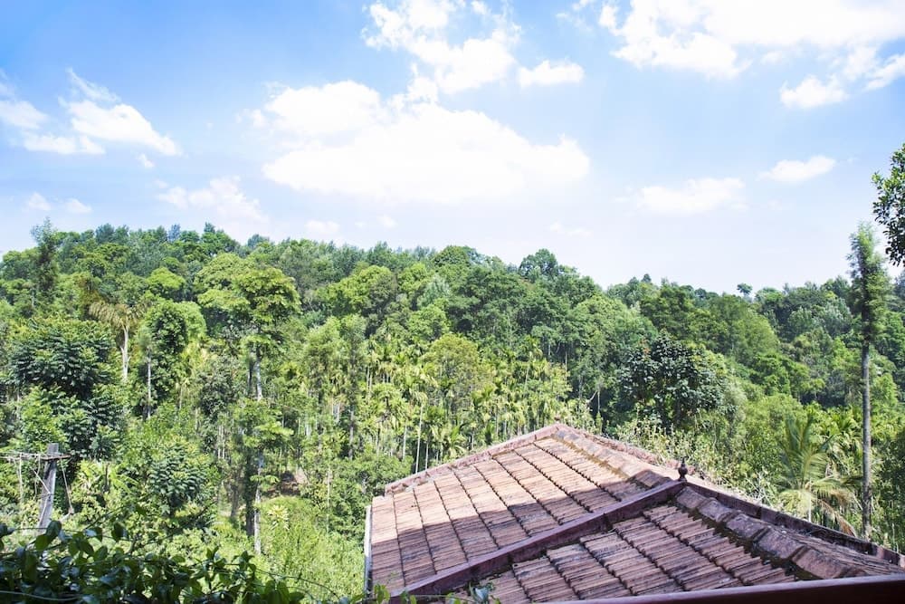 GuestHouser 1 BR Bed & Breakfast