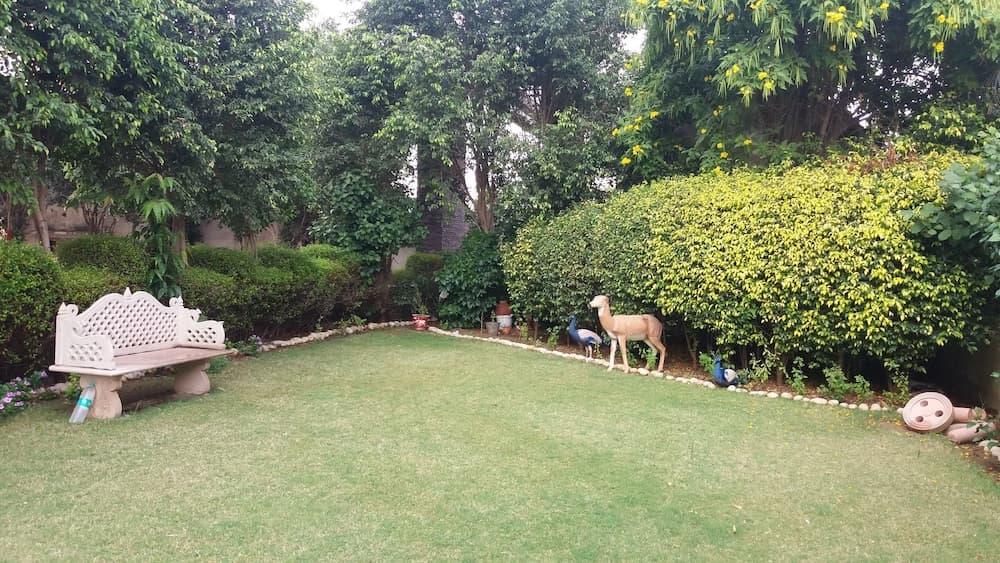 Brij View
