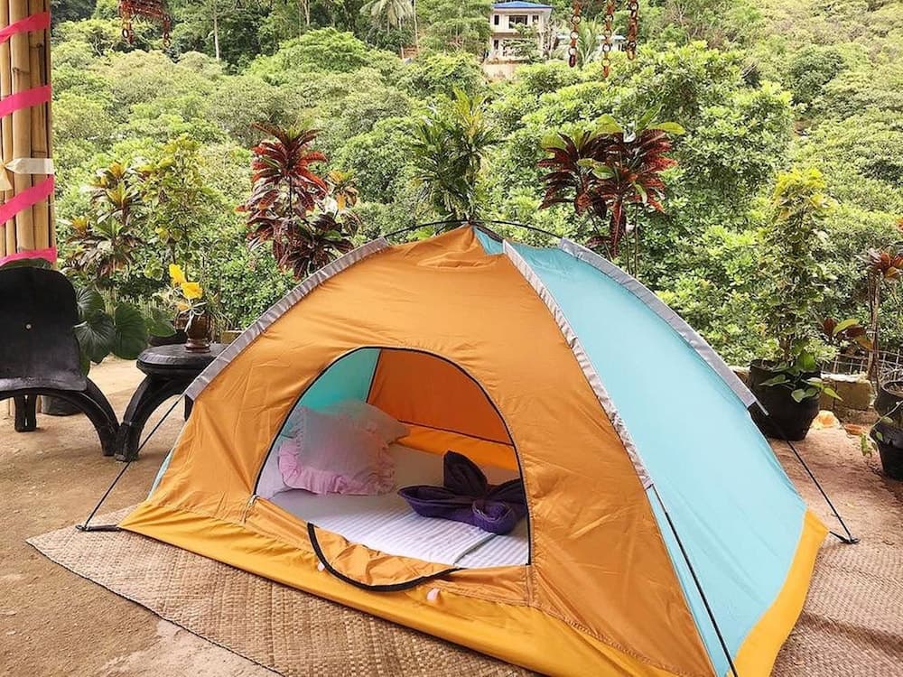 Elternative Hostel