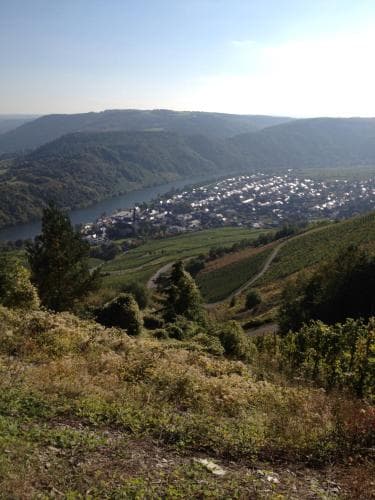 Springiersbacher Hof