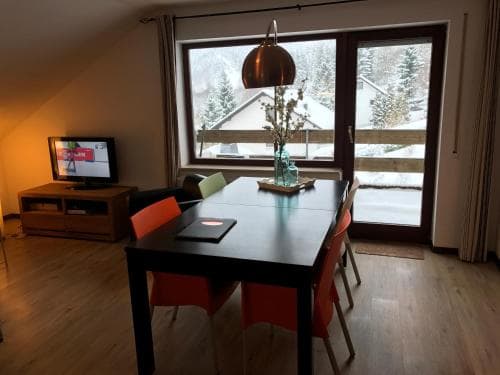 Ferienwohnungen Willingen Wald
