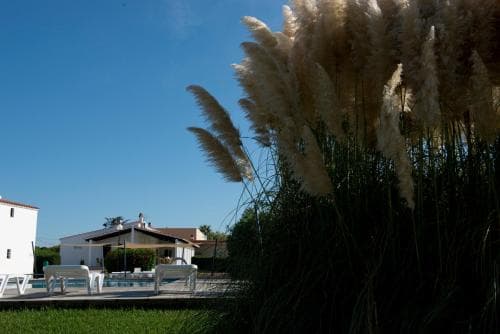 Sa Caleta