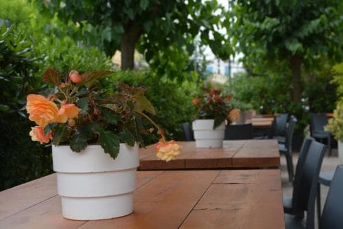 Hotel Ninfea