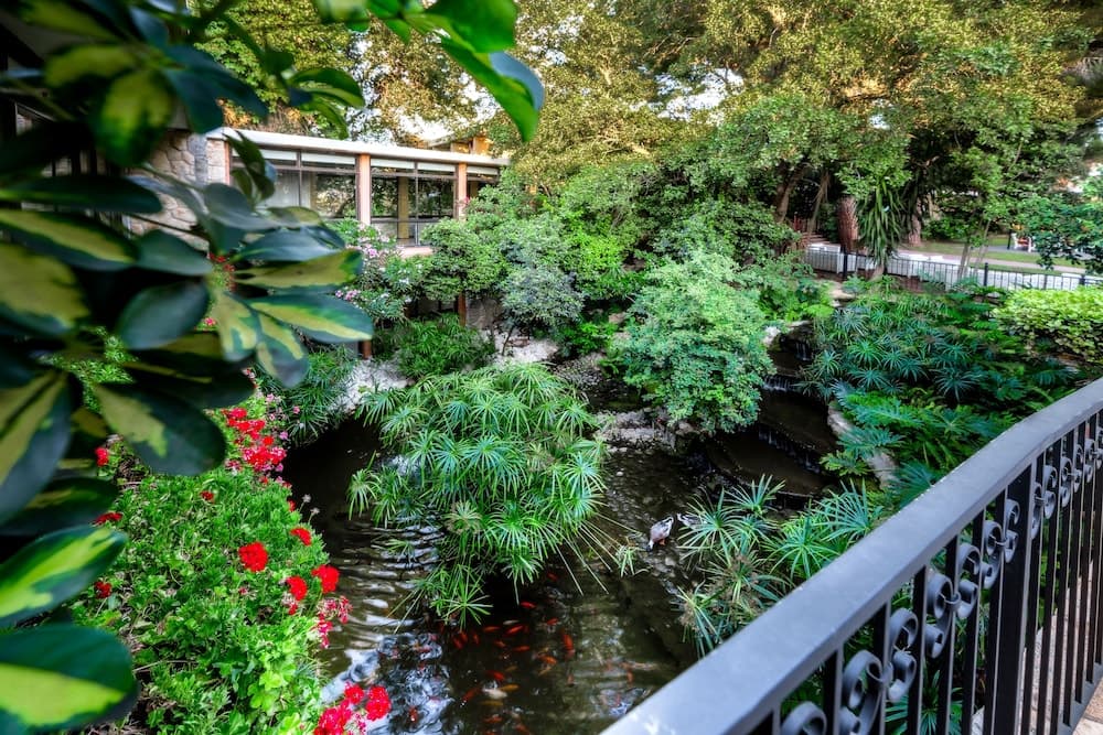 Hacienda ForestView
