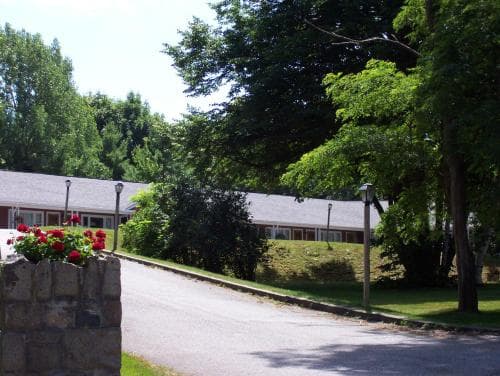 A serene campground scene features a paved road lined with lush greenery, stone planters filled with vibrant red flowers, and modest cabins nestled among trees, ideal for a peaceful outdoor retreat.