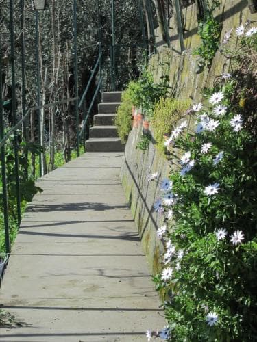 B&B L’Uliveto