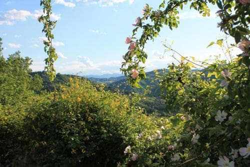 Il Biroccio